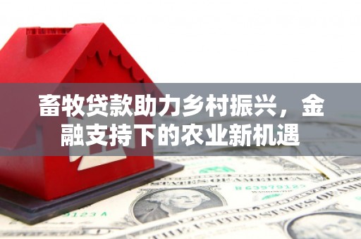 罗定畜牧贷款助力乡村振兴，金融支持下的农业新机遇