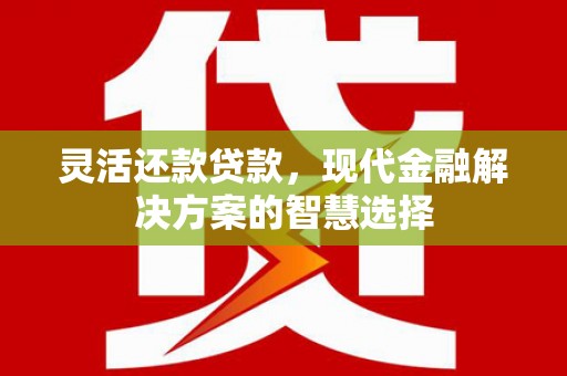 罗定灵活还款贷款，现代金融解决方案的智慧选择