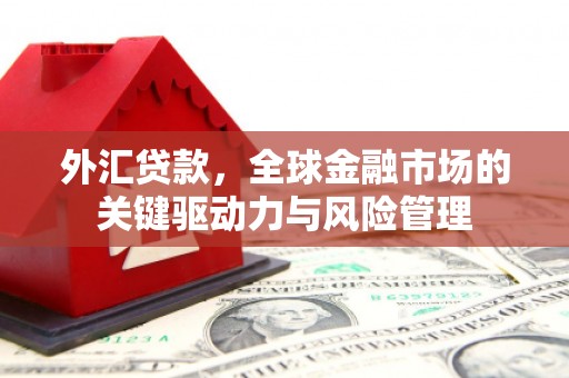 罗定外汇贷款，全球金融市场的关键驱动力与风险管理