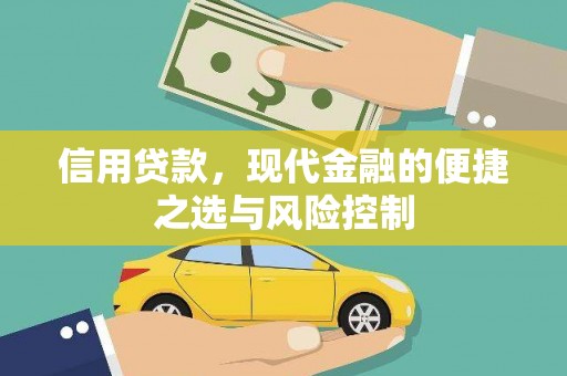 罗定信用贷款，现代金融的便捷之选与风险控制