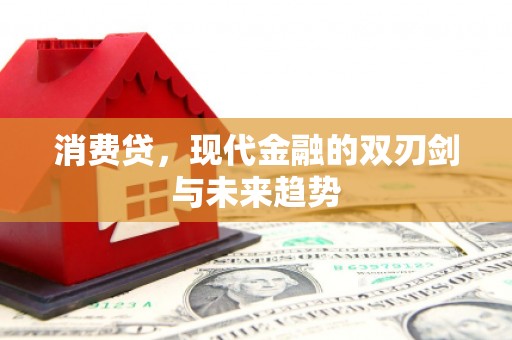 罗定消费贷，现代金融的双刃剑与未来趋势