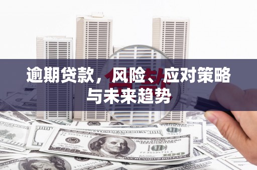 罗定逾期贷款，风险、应对策略与未来趋势
