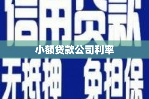 罗定小额贷款公司利率