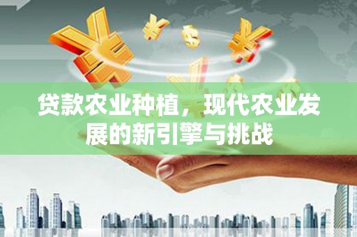 罗定贷款农业种植，现代农业发展的新引擎与挑战
