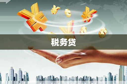 罗定税务贷