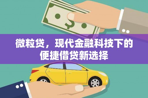 罗定微粒贷，现代金融科技下的便捷借贷新选择