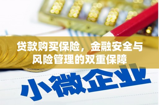 罗定贷款购买保险，金融安全与风险管理的双重保障