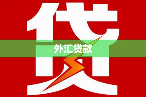 罗定外汇贷款
