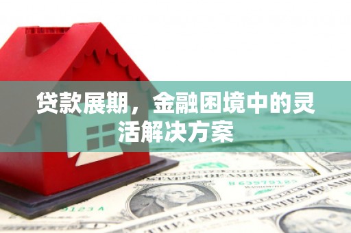 罗定贷款展期，金融困境中的灵活解决方案