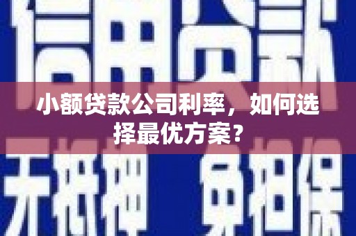 罗定小额贷款公司利率，如何选择最优方案？