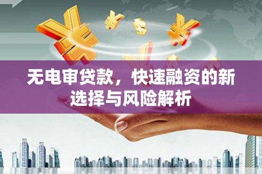 罗定无电审贷款，快速融资的新选择与风险解析