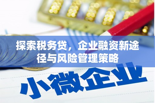 罗定探索税务贷，企业融资新途径与风险管理策略