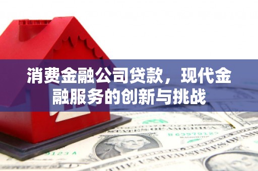 罗定消费金融公司贷款，现代金融服务的创新与挑战