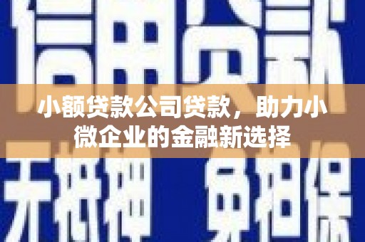 罗定小额贷款公司贷款，助力小微企业的金融新选择