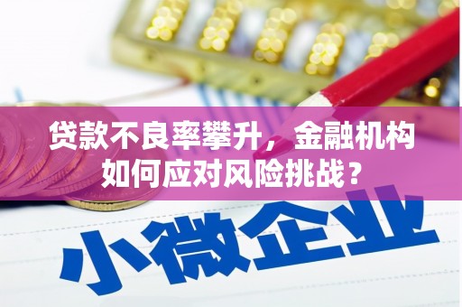 罗定贷款不良率攀升，金融机构如何应对风险挑战？