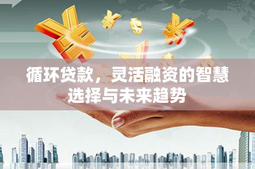 罗定循环贷款，灵活融资的智慧选择与未来趋势