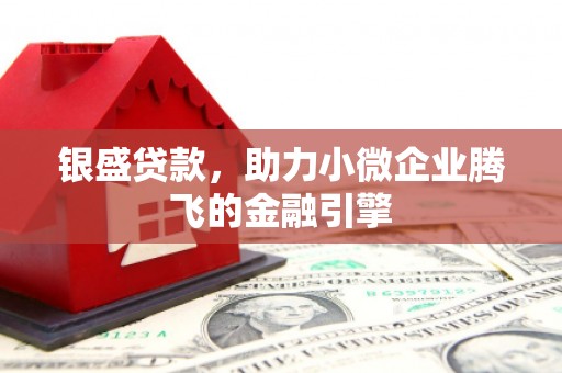 罗定银盛贷款，助力小微企业腾飞的金融引擎