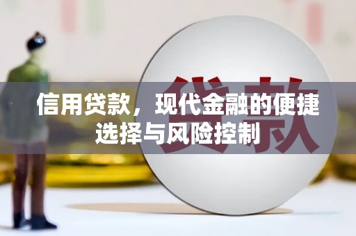 罗定信用贷款，现代金融的便捷选择与风险控制