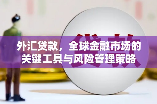 罗定外汇贷款，全球金融市场的关键工具与风险管理策略