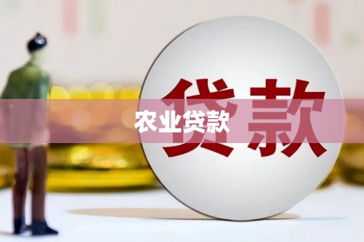 罗定农业贷款