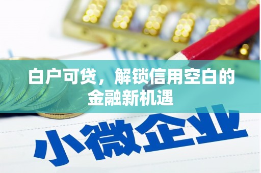 罗定白户可贷，解锁信用空白的金融新机遇