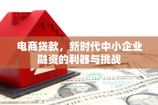 罗定电商贷款，新时代中小企业融资的利器与挑战