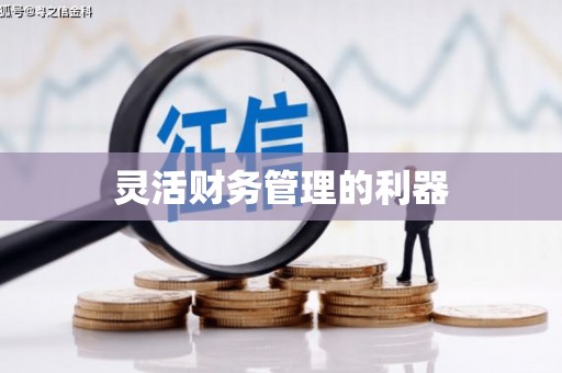 罗定灵活财务管理的利器