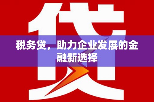 罗定税务贷，助力企业发展的金融新选择