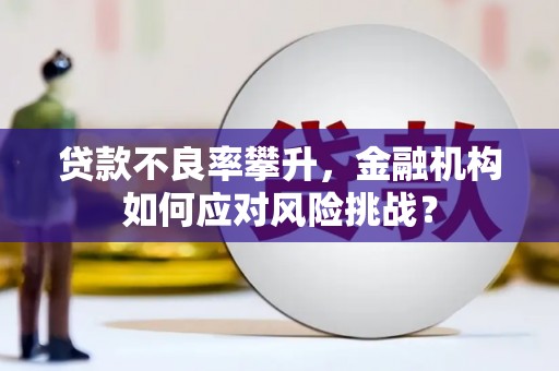 罗定贷款不良率攀升，金融机构如何应对风险挑战？