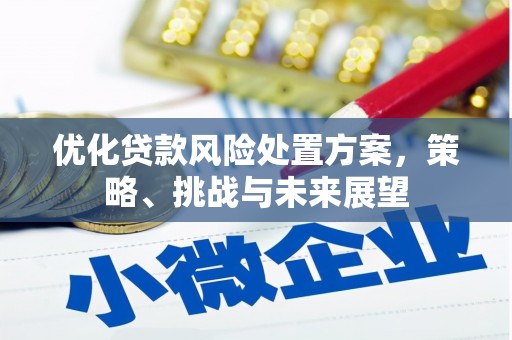 罗定优化贷款风险处置方案，策略、挑战与未来展望