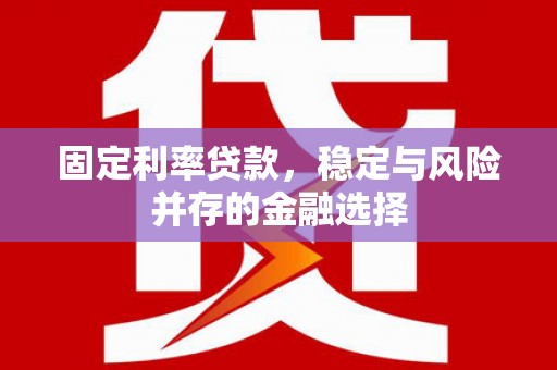 罗定固定利率贷款，稳定与风险并存的金融选择