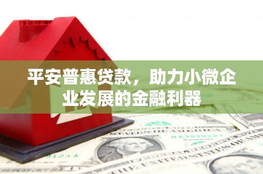 罗定平安普惠贷款，助力小微企业发展的金融利器