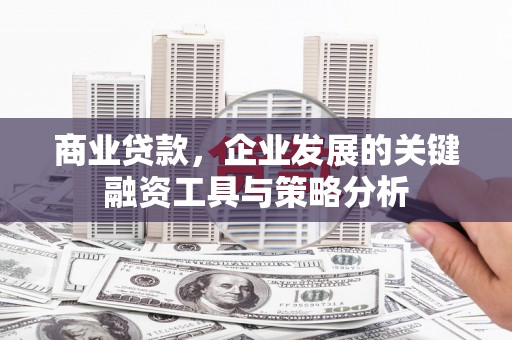 罗定商业贷款，企业发展的关键融资工具与策略分析