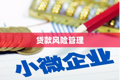 罗定贷款风险管理