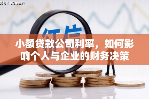 罗定小额贷款公司利率，如何影响个人与企业的财务决策