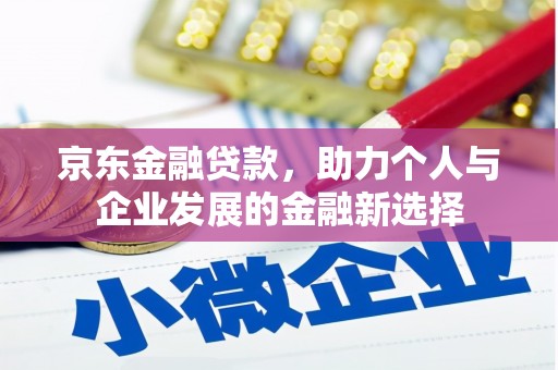 罗定京东金融贷款，助力个人与企业发展的金融新选择