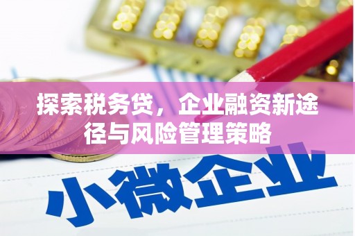 罗定探索税务贷，企业融资新途径与风险管理策略