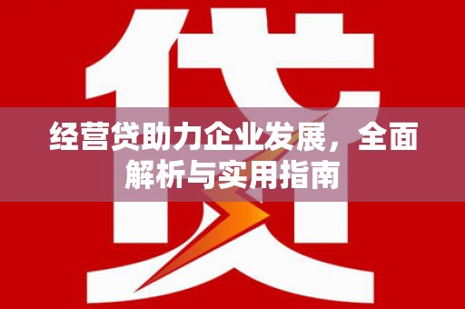 罗定经营贷助力企业发展，全面解析与实用指南