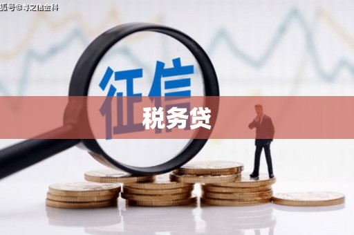 罗定税务贷