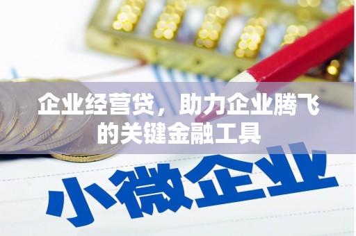 罗定企业经营贷，助力企业腾飞的关键金融工具
