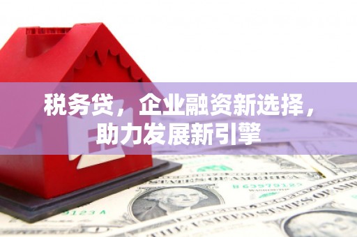 罗定税务贷，企业融资新选择，助力发展新引擎