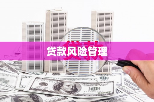罗定贷款风险管理