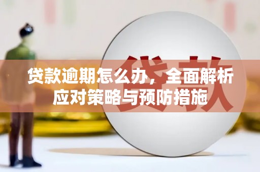 罗定贷款逾期怎么办，全面解析应对策略与预防措施