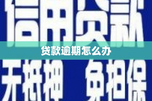 罗定贷款逾期怎么办