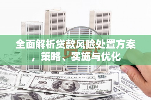 罗定全面解析贷款风险处置方案，策略、实施与优化