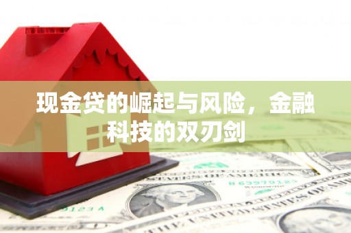 罗定现金贷的崛起与风险，金融科技的双刃剑