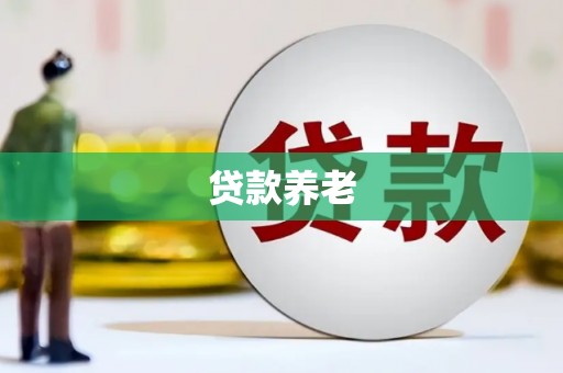 罗定贷款养老