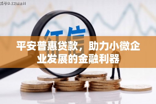 罗定平安普惠贷款，助力小微企业发展的金融利器