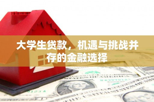 罗定大学生贷款，机遇与挑战并存的金融选择