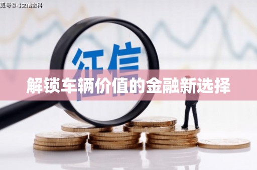 罗定解锁车辆价值的金融新选择